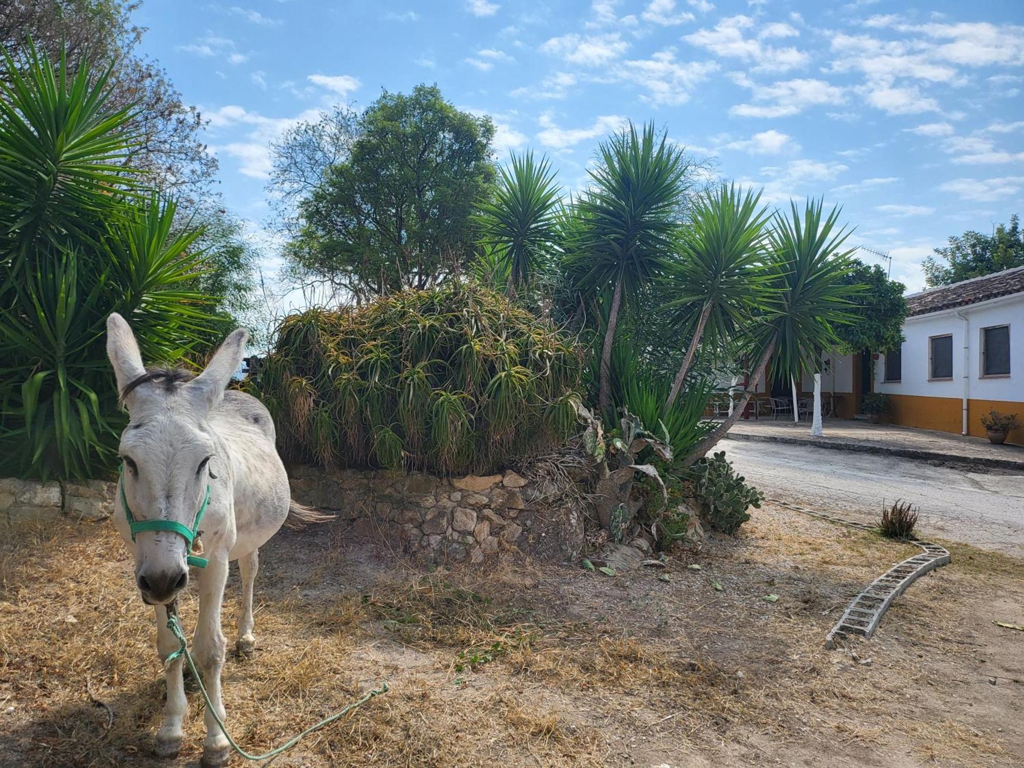 Holiday home La Jaima Prado Del Rey